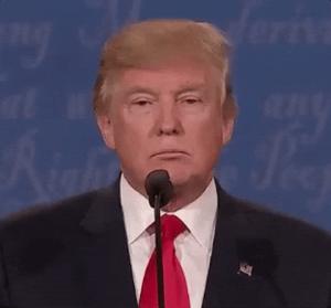 Gif avec les tags : Trump