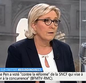 Gif avec les tags : Marine Le Pen,nddl,punk,punkàchien,zad