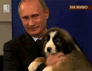Gif avec les tags : Poutine,chien